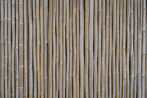 bamboo wall as design background