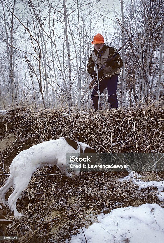 Späte Saison quail hunt - Lizenzfrei Anstrengung Stock-Foto