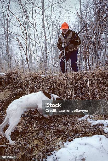 Späte Saison Quail Hunt Stockfoto und mehr Bilder von Anstrengung - Anstrengung, Apportierhund, Berufliche Partnerschaft