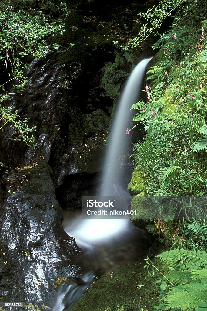 Cascada, Irlanda-condado de Wicklow - Foto de stock de Agua libre de derechos