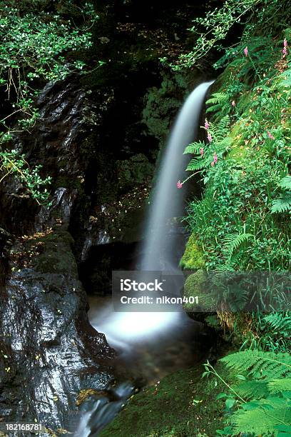 Wodospadhrabstwo Wicklow Irlandia - zdjęcia stockowe i więcej obrazów Bez ludzi - Bez ludzi, Fotografika, Hrabstwo Wicklow
