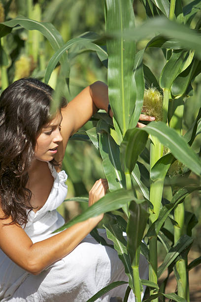 istock Young woman in corn field 182169092