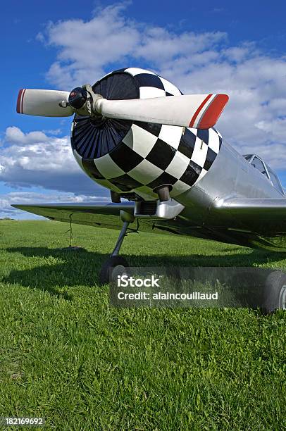 Checkered Pokazy Lotnicze Racer - zdjęcia stockowe i więcej obrazów Akrobacja lotnicza - Akrobacja lotnicza, Fotografika, Kokpit