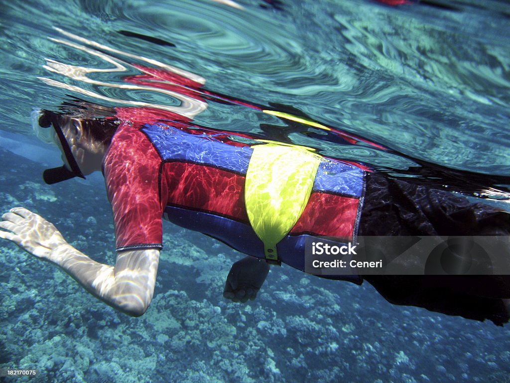 Homme en combinaison de plongée sous-marine plongée de Maui, à Hawaï - Photo de Masque et tuba libre de droits