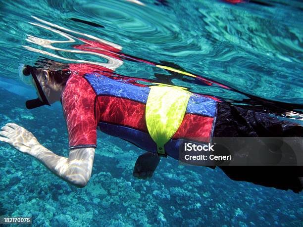 Photo libre de droit de Homme En Combinaison De Plongée Sousmarine Plongée De Maui À Hawaï banque d'images et plus d'images libres de droit de Masque et tuba