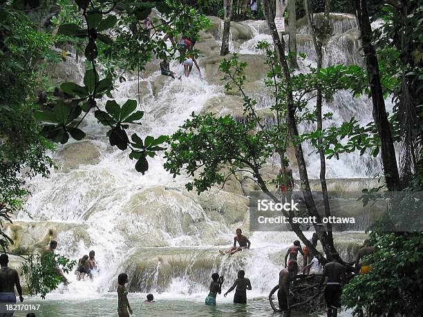 Jamaica Waterfall Stock Photo - Download Image Now - Jamaica, Waterfall, Beauty