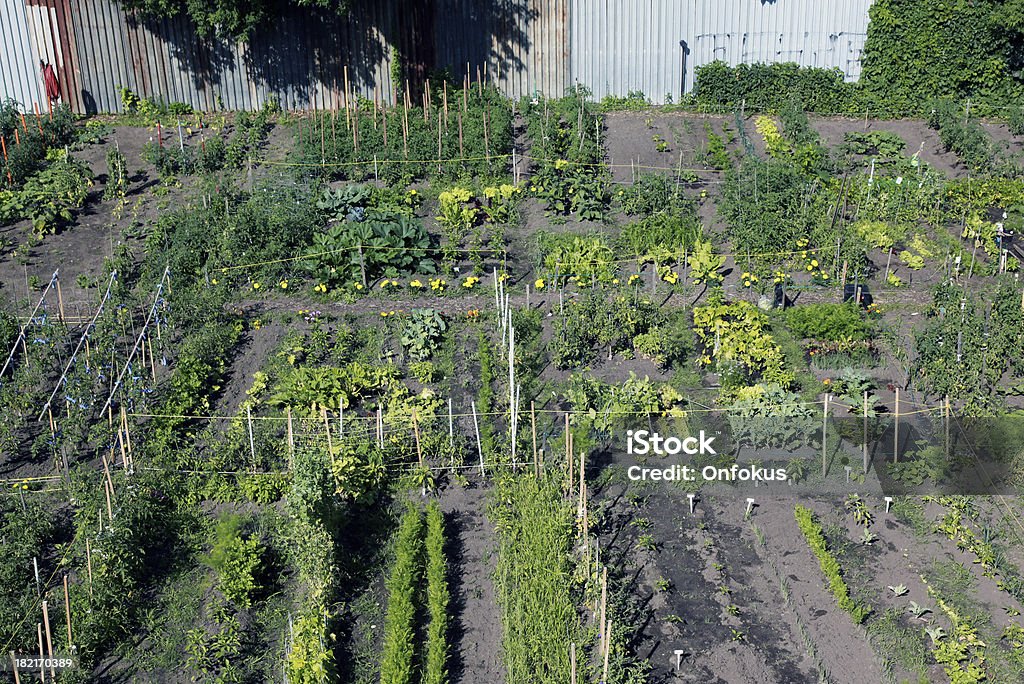 Vue aérienne du Jardin communautaire - Photo de Activité libre de droits