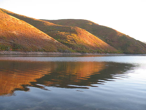 Desert Lake Reflections stock photo