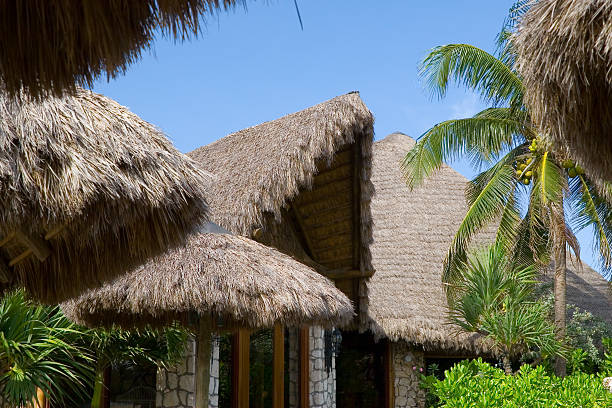 istock staw roof and palm trees 182170635