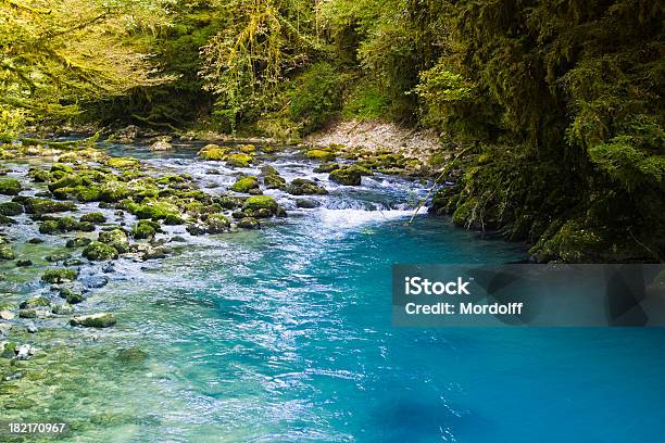 Mountain River Stock Photo - Download Image Now - Bush, River, Beauty In Nature