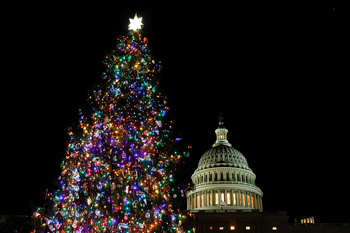 The regular practice of displaying a Christmas tree on the U.S. Capitol grounds is relatively recent.