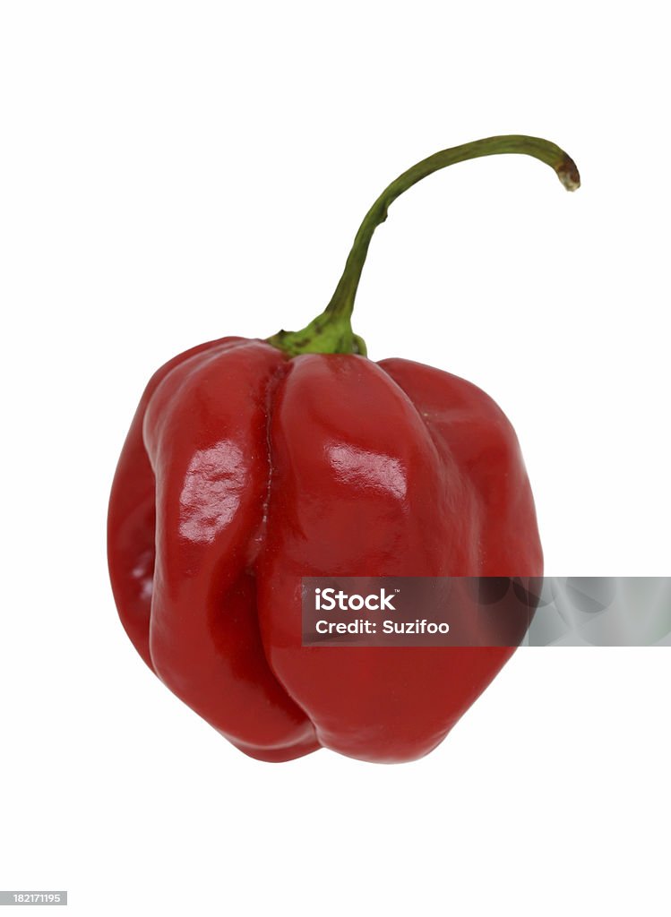 Pimiento habanero chile rojo - Foto de stock de Guindilla Scotch Bonnet libre de derechos