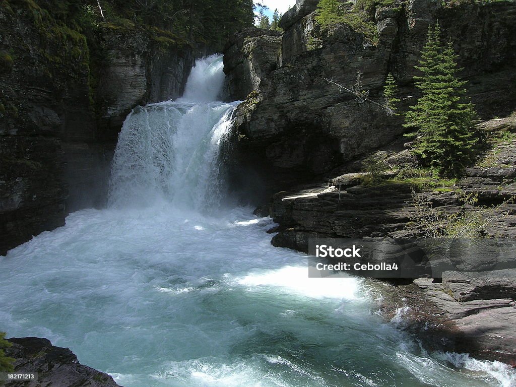 Catarata de St. Mary's, Parque nacional do glaciar Montana - Royalty-free Cascata Foto de stock