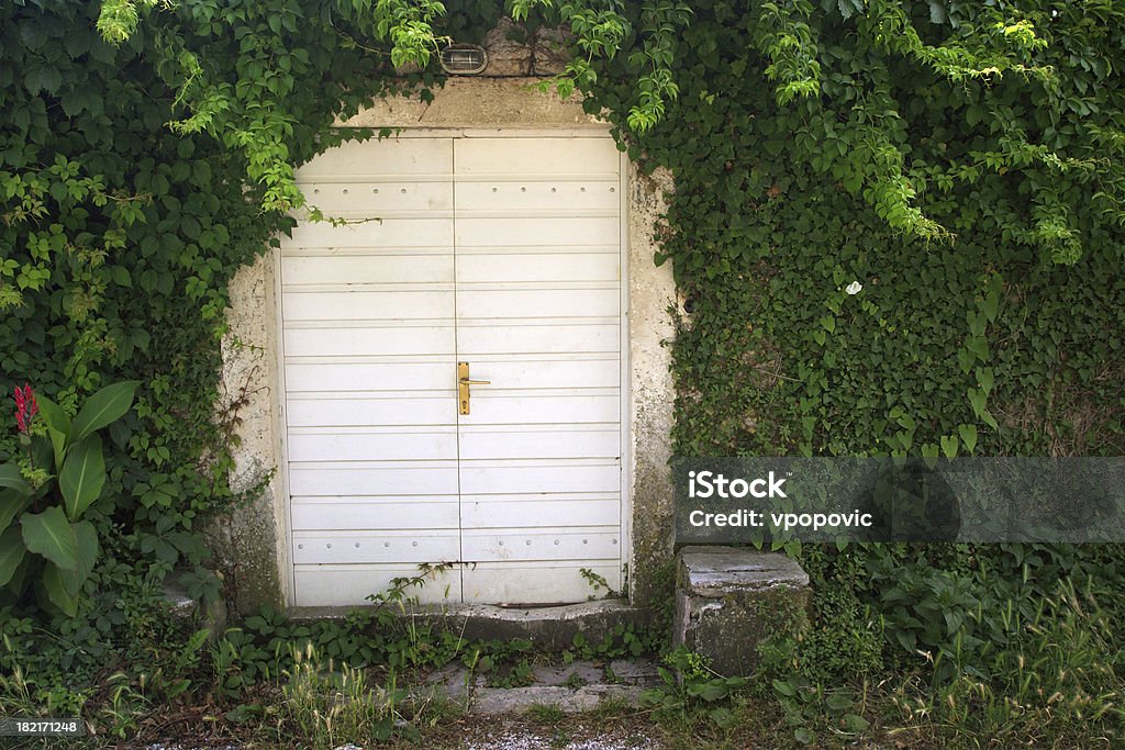 Modern hobbit's house "Door overgrow in jungle plants. Could be hidden shelter in the jungle, modern hobbit's house or background for some other adventure concepts." Adventure Stock Photo