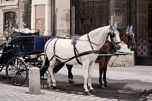 Horse-drawn carriage on street in Vienna, vintage look image. Selective focus.