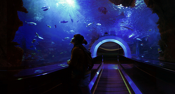 Underwater túnel de photo