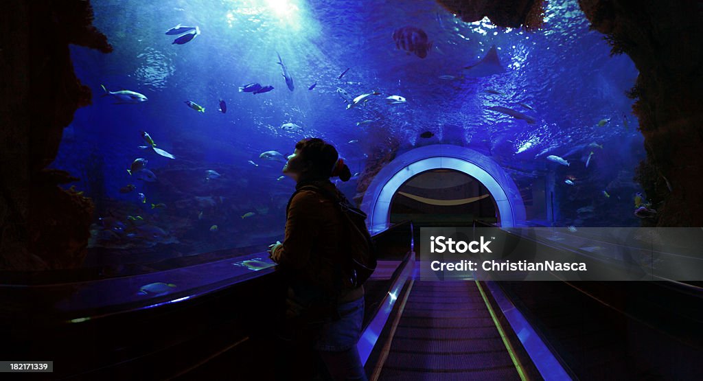 Underwater Tunnel Wide angle view from inside an underwater tunnel through a giant aquarium. Deep blue colors with rays of light coming from the surface. Young woman looking up to the light and marveling at the beauty of the underwater scene.Please refer to this 360&#176; panorama version in highest resolution (XXXL) of above cropped and downsized image: Fish Tank Stock Photo