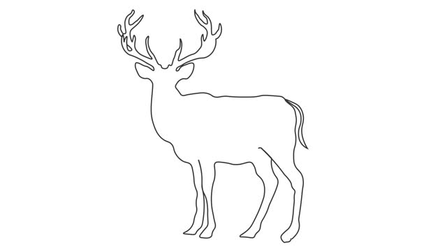 Drawing Continuous Line of deer Animation with single line animation on white background