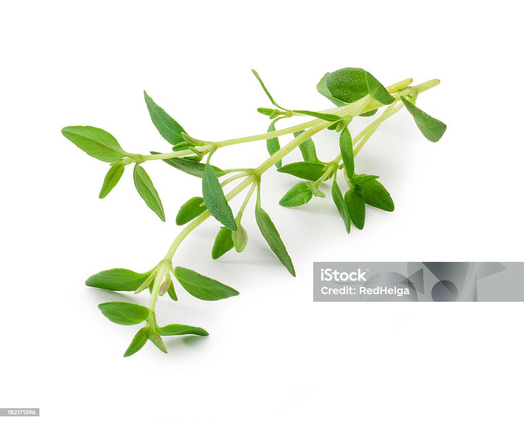 Timo - Foto stock royalty-free di Timo - Erba aromatica