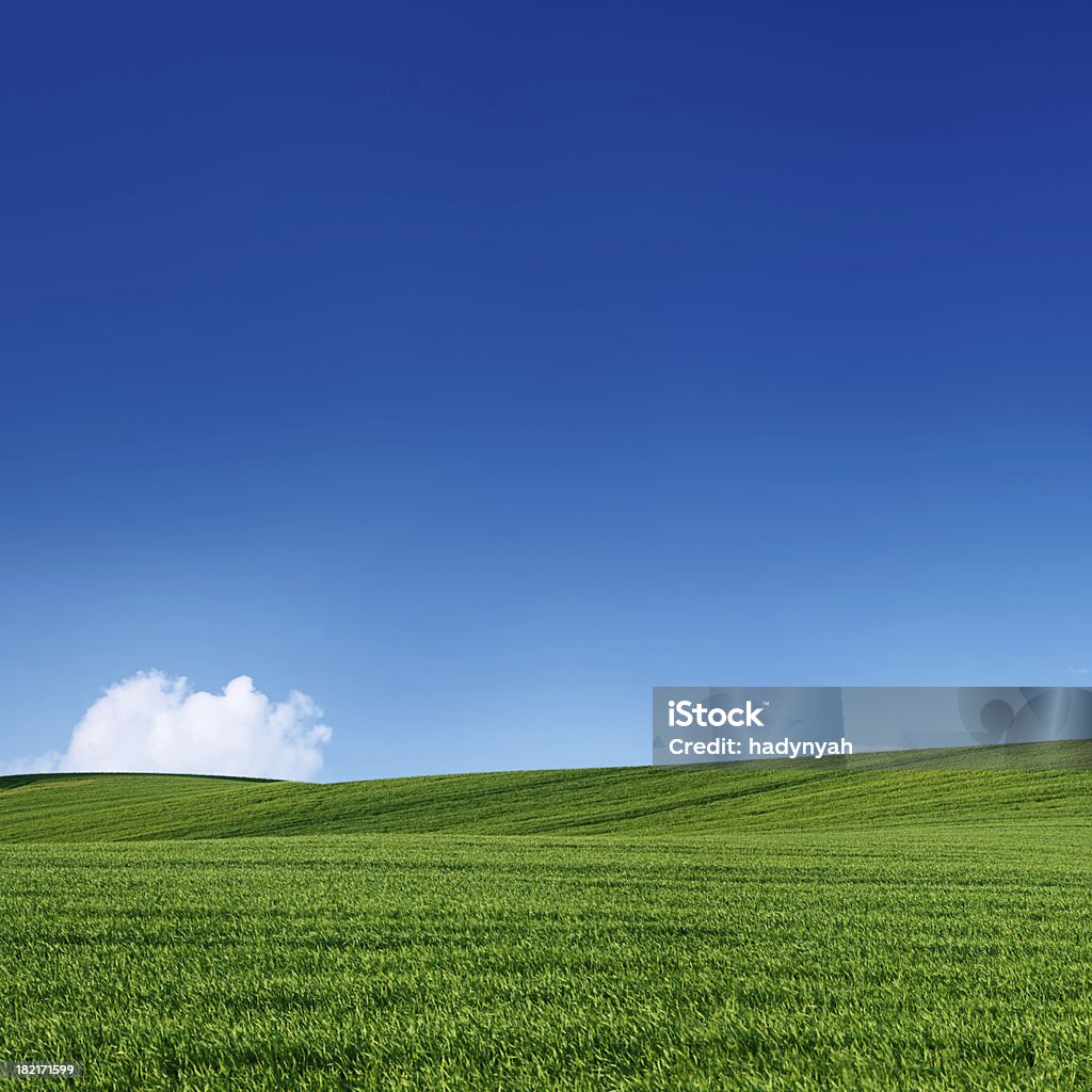 Площадь весенний пейзаж 50MPix XXXXL-луг, голубое небо - Стоковые фото Без людей роялти-фри