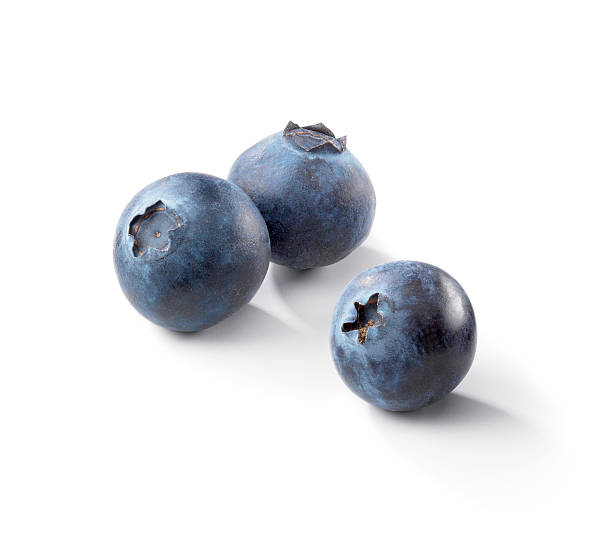 Three blueberries on a white background stock photo