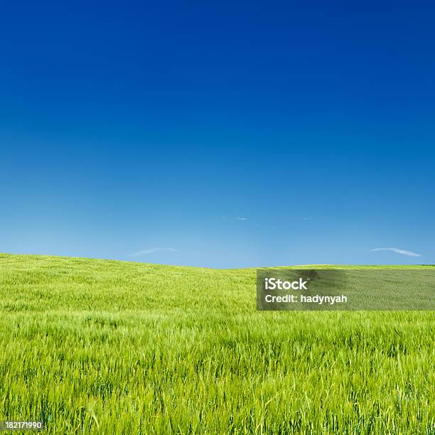 Xxxxl 52mpix Square Frühling Landschaft Mit Wiese Blauer Himmel Stockfoto und mehr Bilder von Abgeschiedenheit