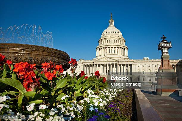 Usa Kapitol Z Kwiatów W Tle - zdjęcia stockowe i więcej obrazów Kapitol - Capitol Hill - Kapitol - Capitol Hill, Waszyngton DC, Kwiat - Roślina