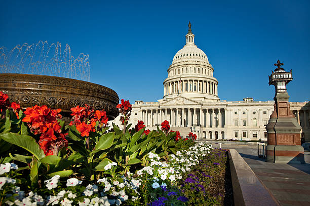 estados unidos capitol com flores em primeiro plano - capitol hill washington dc capitol building fountain - fotografias e filmes do acervo