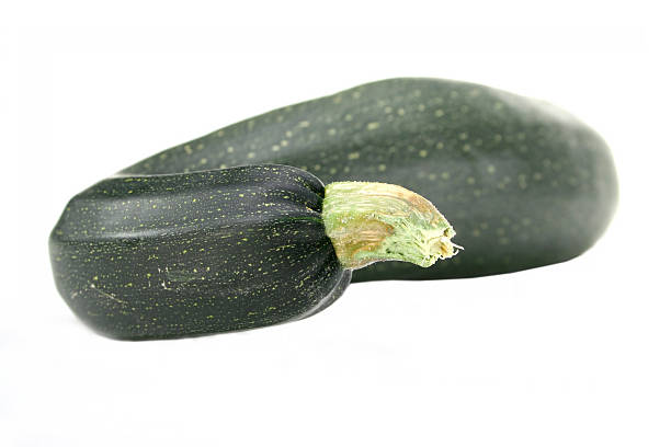 autumn squash stock photo