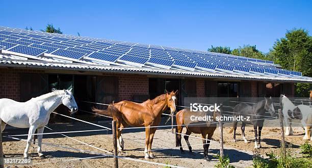 馬安定したソーラーパネル - ソーラーパネルのストックフォトや画像を多数ご用意 - ソーラーパネル, 太陽エネルギー, 農園