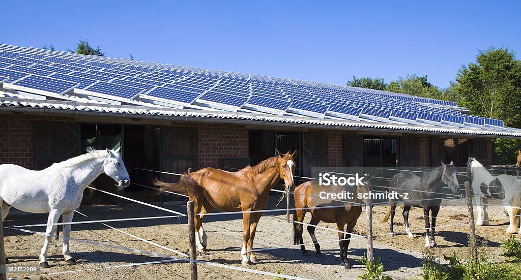 Koń stabilny z paneli słonecznych - Zbiór zdjęć royalty-free (Panel słoneczny)