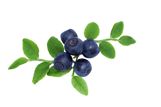 istock Blueberry with letters on a white background. 182173423