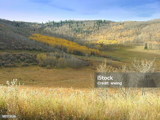 Hojas De Otoño En Pie De Las Montañas Rocosas Foto de stock y más banco de imágenes de Aire libre - Aire libre, Alberta, Amarillo - Color