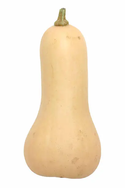 "A butternut squash, isolated on white."