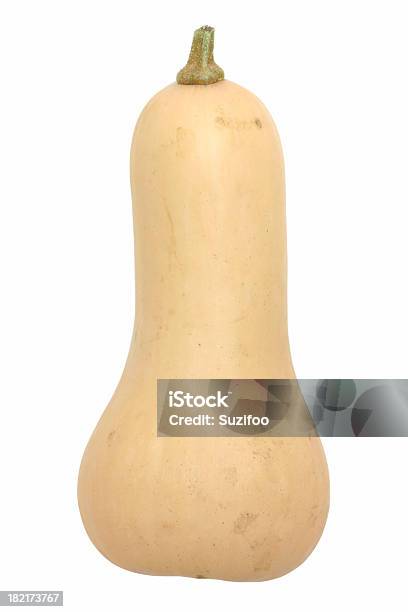 Abóbora Butternut - Fotografias de stock e mais imagens de Abóbora Butternut - Abóbora Butternut, Abóbora-Menina - Cucúrbita, Figura para recortar