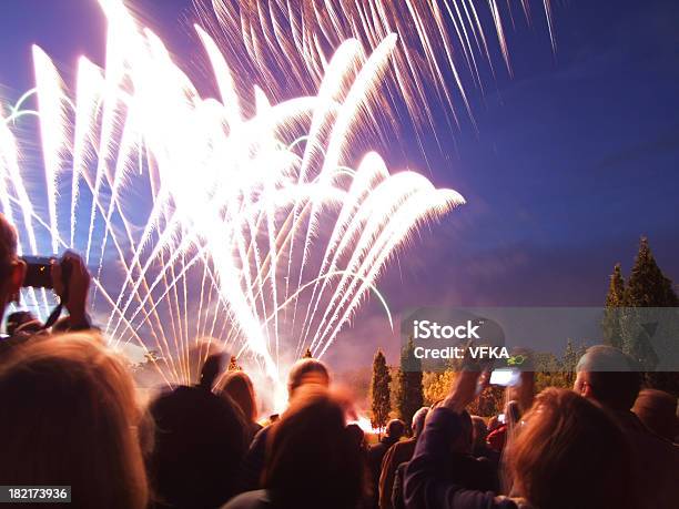 Ver Los Fuegos Artificiales Foto de stock y más banco de imágenes de Anochecer - Anochecer, Fuego artificial, Fuegos artificiales