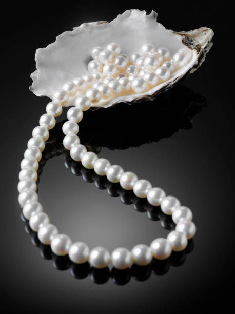 White Freshwater Pearl Necklace stock photo