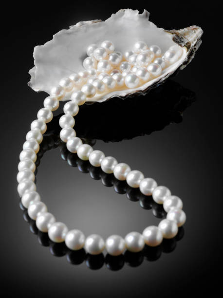 biały freshwater perłą naszyjnik - freshwater pearl zdjęcia i obrazy z banku zdjęć