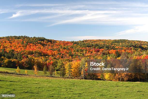 Foto de Paisagem De Outono e mais fotos de stock de Ajardinado - Ajardinado, Beleza natural - Natureza, Campo