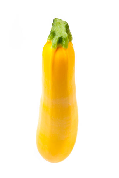 zucchino giallo - crookneck squash foto e immagini stock