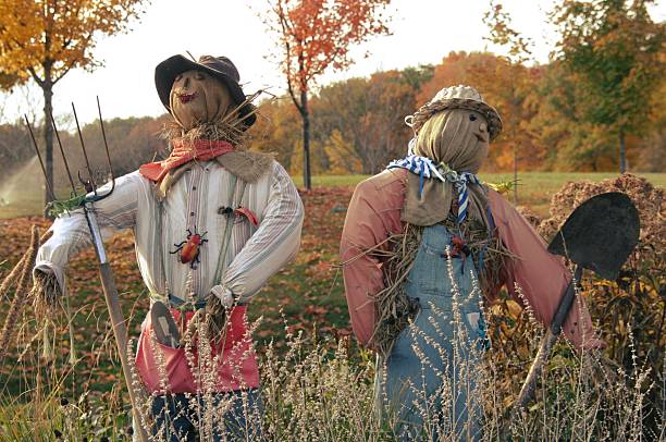 fall scarecrows stock photo