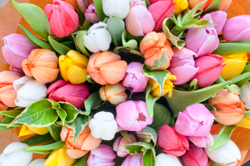 Stock photo of bouquet of tulip