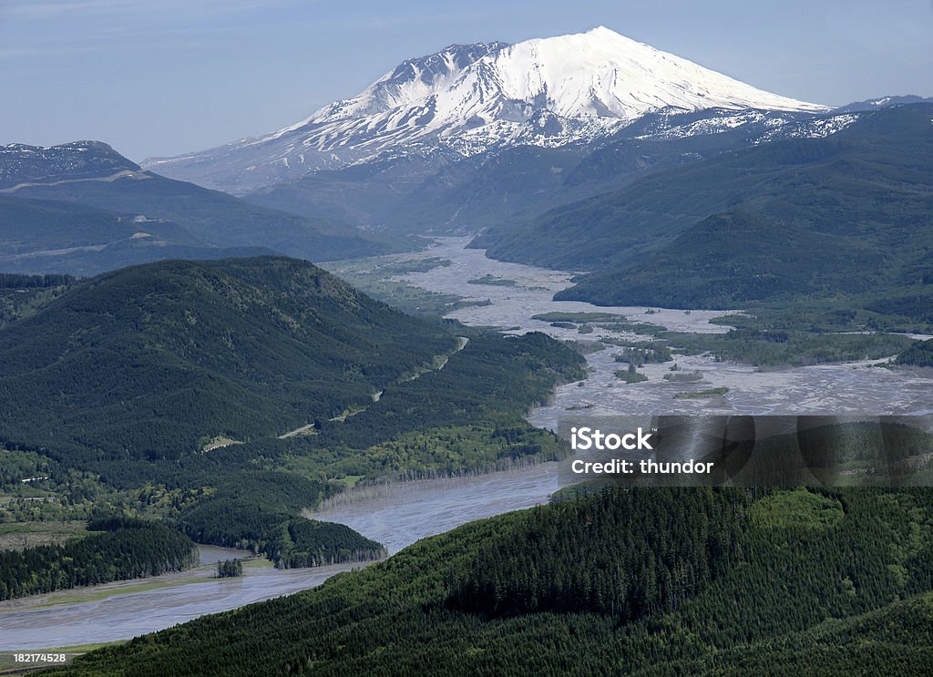 Monte SaintHelens - Foto stock royalty-free di Albero