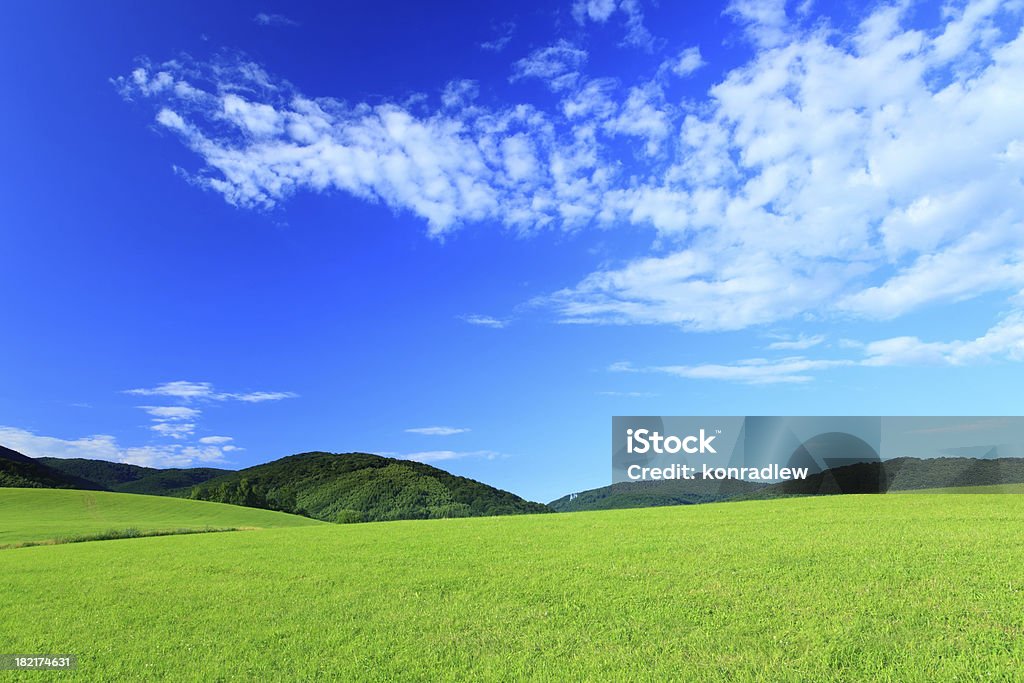 Verde paisaje - Foto de stock de Agricultura libre de derechos