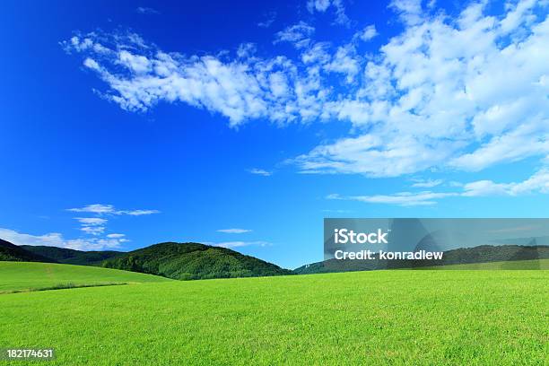 Verde Paisaje Foto de stock y más banco de imágenes de Agricultura - Agricultura, Aire libre, Azul