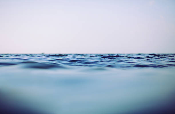 Sea Water level/Underwater shot of the sea. view into land stock pictures, royalty-free photos & images