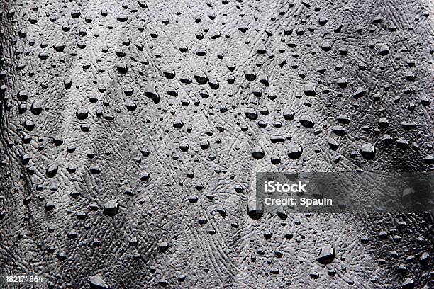 Wet Black Leather Stock Photo - Download Image Now - Leather, Water, Drop