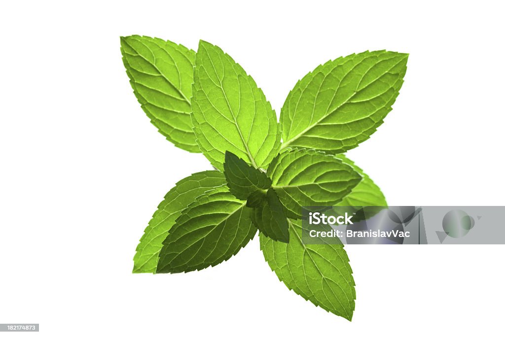 Verde menta - Foto stock royalty-free di Menta - Erba aromatica