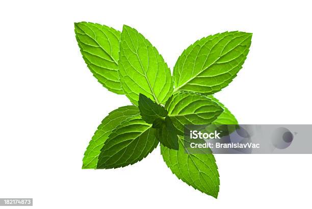 Verde Menta - Fotografie stock e altre immagini di Menta - Erba aromatica - Menta - Erba aromatica, Menta piperita, Fitoterapia