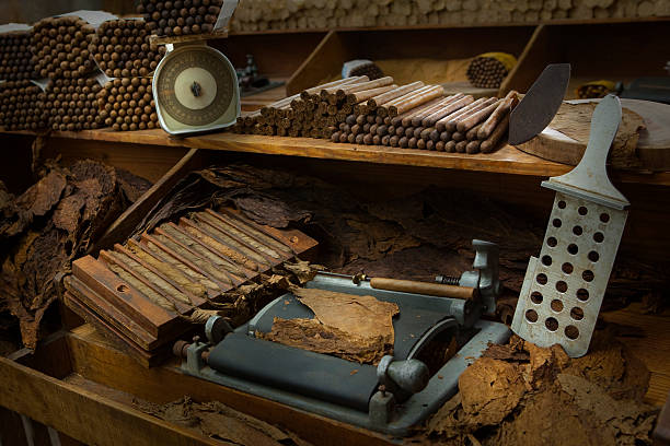 Manufacturing of cigars stock photo